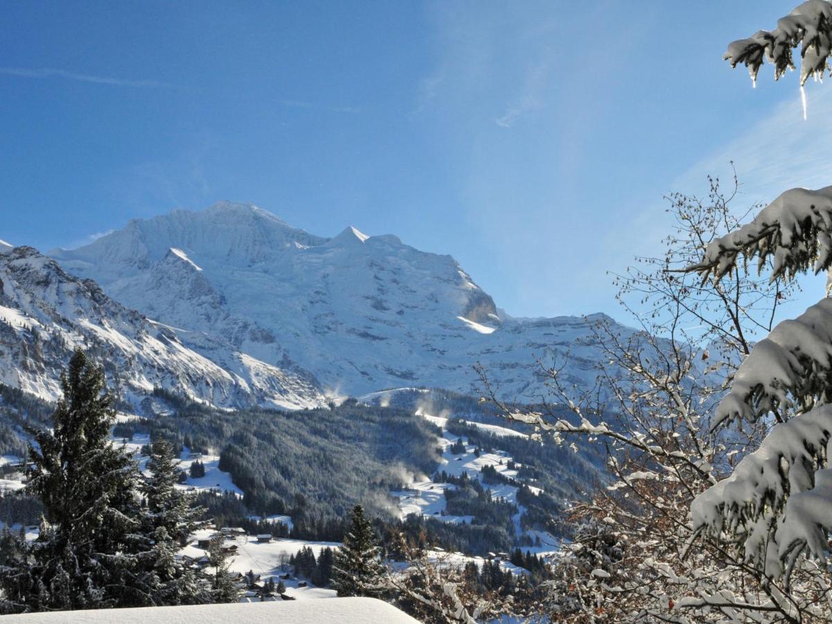 Apartment Panorama Wengen Bagian luar foto